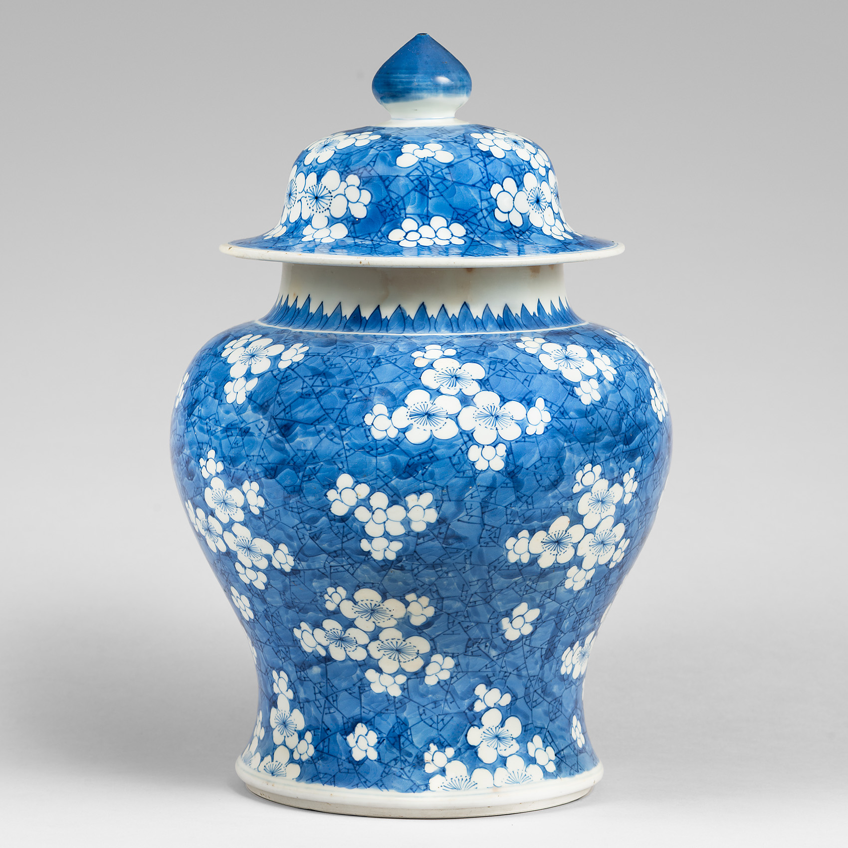 A blue and white 'Hawthorn' jar and cover. China, Kangxi